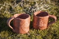 Beautiful closeup of unique handmade two cups with folk signs on green moss in summer sunset sunlight before kiln Royalty Free Stock Photo