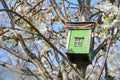 Beautiful closeup view colorful old wooden bird house on spring white blooming cherry tree on university campus, Dublin, Ireland Royalty Free Stock Photo