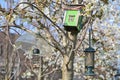 Beautiful closeup view of different bird feeders and old wooden bird house on spring white blooming cherry tree on university Royalty Free Stock Photo