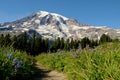 Beautiful closeup view of a mount Rainer in Washington Royalty Free Stock Photo