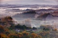 Beautiful cloud, fog with yellow bamboo and hill