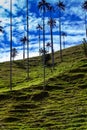 Beautiful cloud forest and the Quindio Wax Palms at the Cocora Valley located in Salento in the Quindio region in Colombia Royalty Free Stock Photo