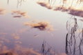 Beautiful cloud reflected in the forest lake