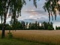 Beautiful clouds in the beautiful sky Royalty Free Stock Photo