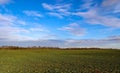 Beautiful clouds in a blue sky over a northern european agricutural field Royalty Free Stock Photo