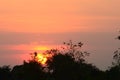 Sunset sky clouds over tree tops silhouettes panoramic landscape Royalty Free Stock Photo