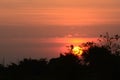 Sunset sky clouds over tree tops silhouettes panoramic landscape Royalty Free Stock Photo