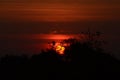 Sunset sky clouds over tree tops silhouettes panoramic landscape Royalty Free Stock Photo