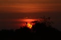 Sunset sky clouds over tree tops silhouettes panoramic landscape Royalty Free Stock Photo