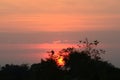 Sunset sky clouds over tree tops silhouettes panoramic landscape Royalty Free Stock Photo