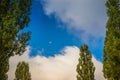 Beautiful clouds and moon during the daytime. Moon in the daytime on a cloudy blue sky, surrounded by green trees Royalty Free Stock Photo