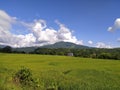 Beautiful clouds in noon time Royalty Free Stock Photo