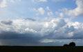 Beautiful clouds in the sky. Clouds foreshadowing rain Royalty Free Stock Photo