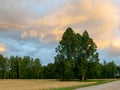 Beautiful clouds in the beautiful sky Royalty Free Stock Photo