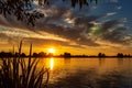 Beautiful clouds during sunset in lake Zoetermeerse plas delineated by willow branches and reeds Royalty Free Stock Photo