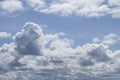 Beautiful cloudscape blue gradient with seagulls and birds