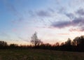 Beautiful cloudscape. Sunset landscape with forest. Royalty Free Stock Photo
