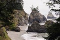 Beautiful cloudy day on the secret beach in Oregon coast Royalty Free Stock Photo