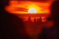 Beautiful cloudy red sunset with gigantic sun over big fields and trees seen by 600mm lens Royalty Free Stock Photo