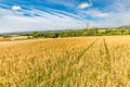Beautiful cloudy sky over autumn wheat fields, mountain pass with harvest season Royalty Free Stock Photo