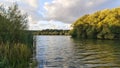 A beautiful cloudy sky at sunset over the lake. The branches of trees and bushes, illuminated by the rays of the setting sun, lean Royalty Free Stock Photo