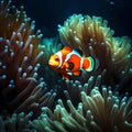 Beautiful clown fish in the ocean - ai generated image Royalty Free Stock Photo