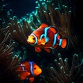 Beautiful clown fish in the ocean - ai generated image Royalty Free Stock Photo