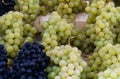 Beautiful clusters of white and blue grapes in the market Royalty Free Stock Photo
