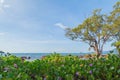 Beautiful coast beach with blue cloud sky at Koh Chang island, Thailand Royalty Free Stock Photo