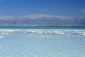 Beautiful coast of the Dead Sea .