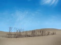 Beautiful coast dunes view.