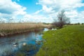 Beautiful coast of the Kamenka river in spring. Royalty Free Stock Photo