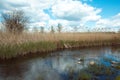 Beautiful coast of the Kamenka river in spring. Royalty Free Stock Photo