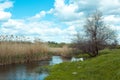 Beautiful coast of the Kamenka river in spring. Royalty Free Stock Photo
