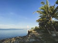 Beautiful rocky coast with palm trees.Boats,ships in the sea on the horizon background blue sky and clouds.Shadow trend Royalty Free Stock Photo