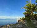 Beautiful coast with a rocky cliff,grass and palm trees. Sunny summer weather. Boats in the sea on the horizon Royalty Free Stock Photo