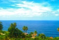 Beautiful coast of Tenerife palm tree, Canary Islands, Spain Royalty Free Stock Photo