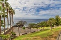 Beautiful coast of Tenerife palm tree Royalty Free Stock Photo