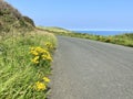 Farmland and coastal road road to Douglas, Isle of Man