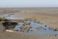 A channel in a tidal muddy beach at the dutch coast in zeeland