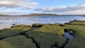 Beautiful coastal landscape scenery, wild Atlantic way, green hill, island, green grass beach at Silverstrand in Galway, Ireland Royalty Free Stock Photo