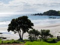 Beautiful coastal landscape, Tawharanui, NZ Royalty Free Stock Photo