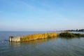 Beautiful coastal panorama by the lake or sea. The blue sky above the lake.Nature landscape. By the Neusiedler See, Austria.