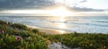 Beautiful coastal sunrise with wildflowers and beach