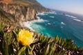 Beautiful Coastline along the Pacific in Big Sur,California Royalty Free Stock Photo