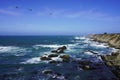 Beautiful coastline scenery and lighthouse on Pacific Coast