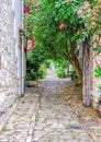 Beautiful cobbled pathway leading through leafy tunnel. Royalty Free Stock Photo