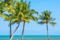 Beautiful Coconut palm leaf tree with beach sea and ocean on blue sky Royalty Free Stock Photo