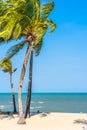 Beautiful Coconut palm leaf tree with beach sea and ocean on blue sky Royalty Free Stock Photo