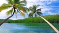 Beautiful coconut tree slope into the sea Royalty Free Stock Photo